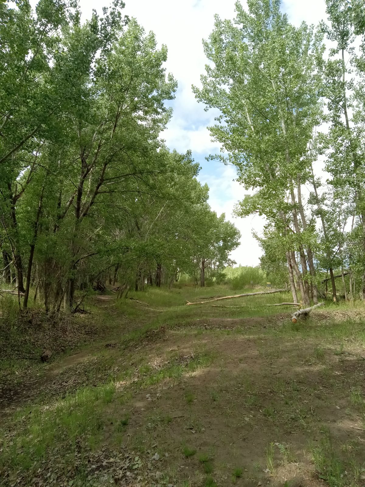 Approaching hole 3