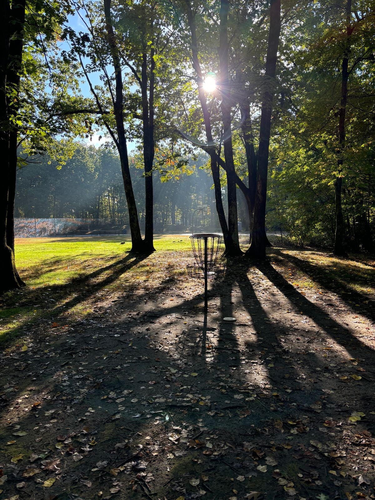 Early morning sun at Pearl Street Park
