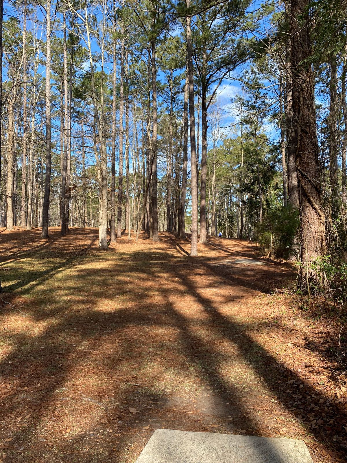 Hole 18 Blue Tee