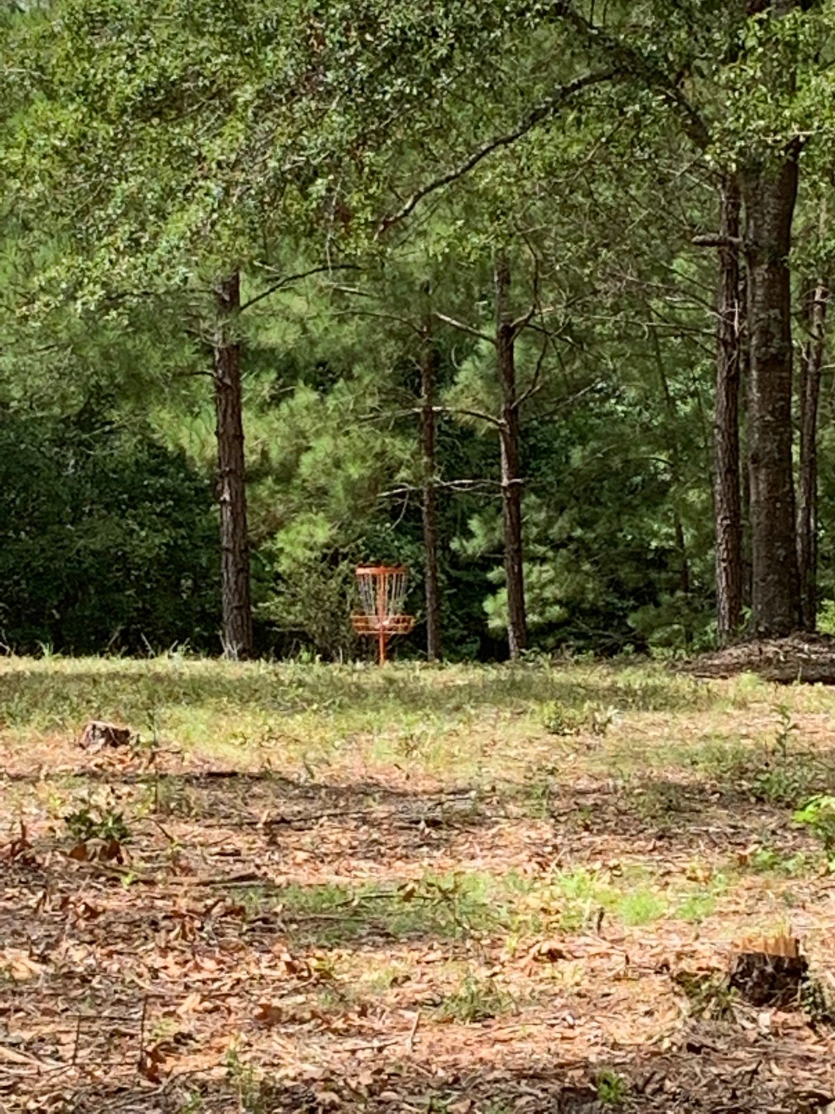 Approach from tee pads 4 & 11, orange basket