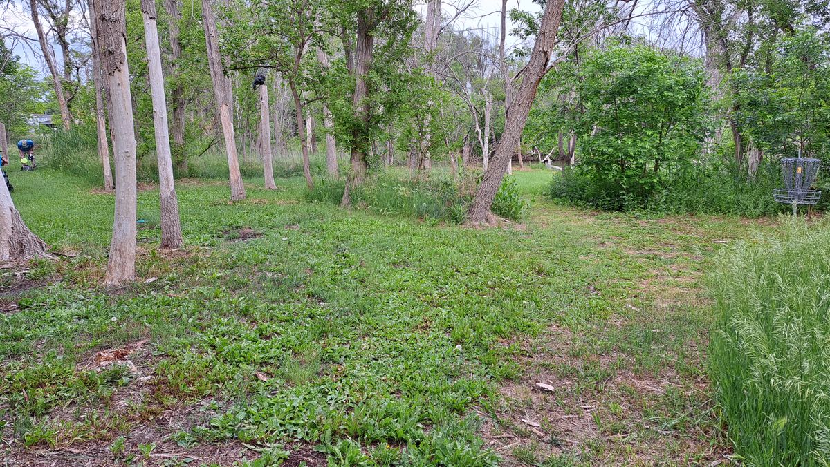 A couple holes are in the woods.