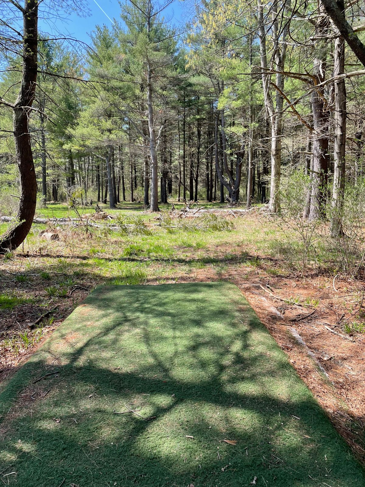 Hole 13, Orange (Short) tee.