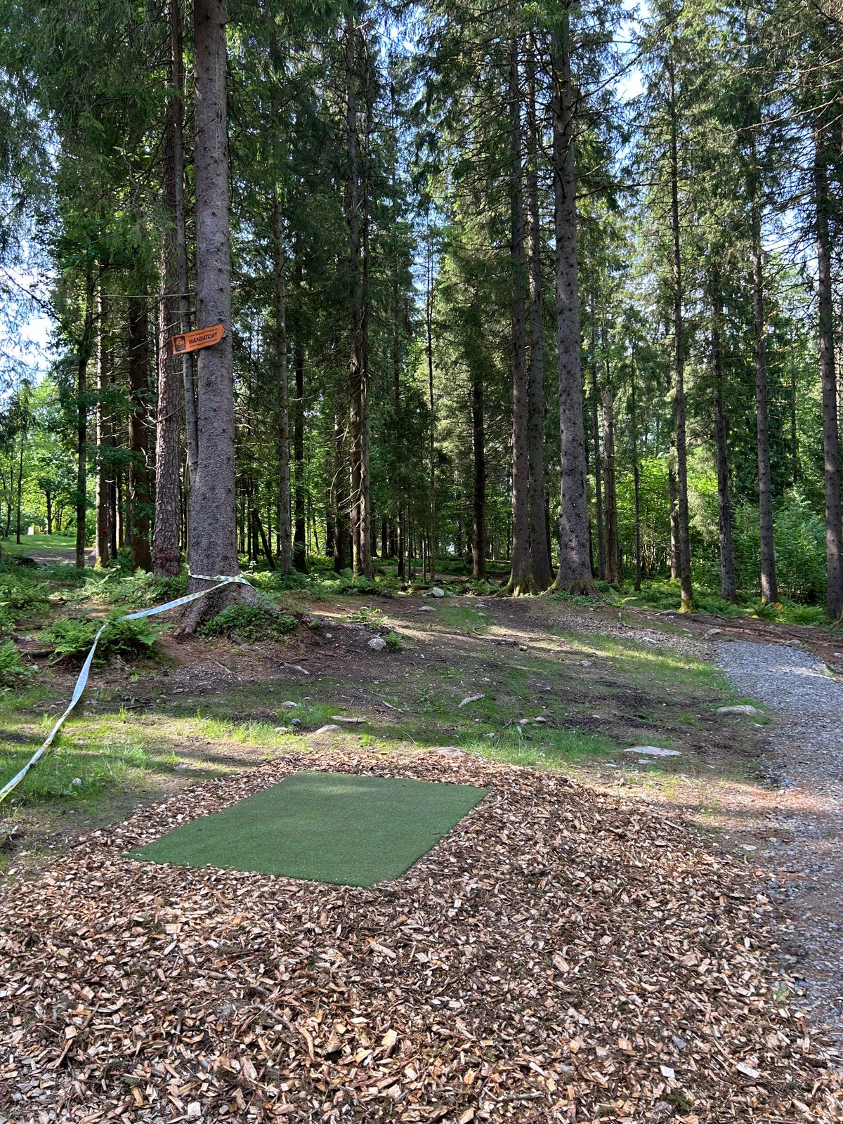 Drop zone hole 7