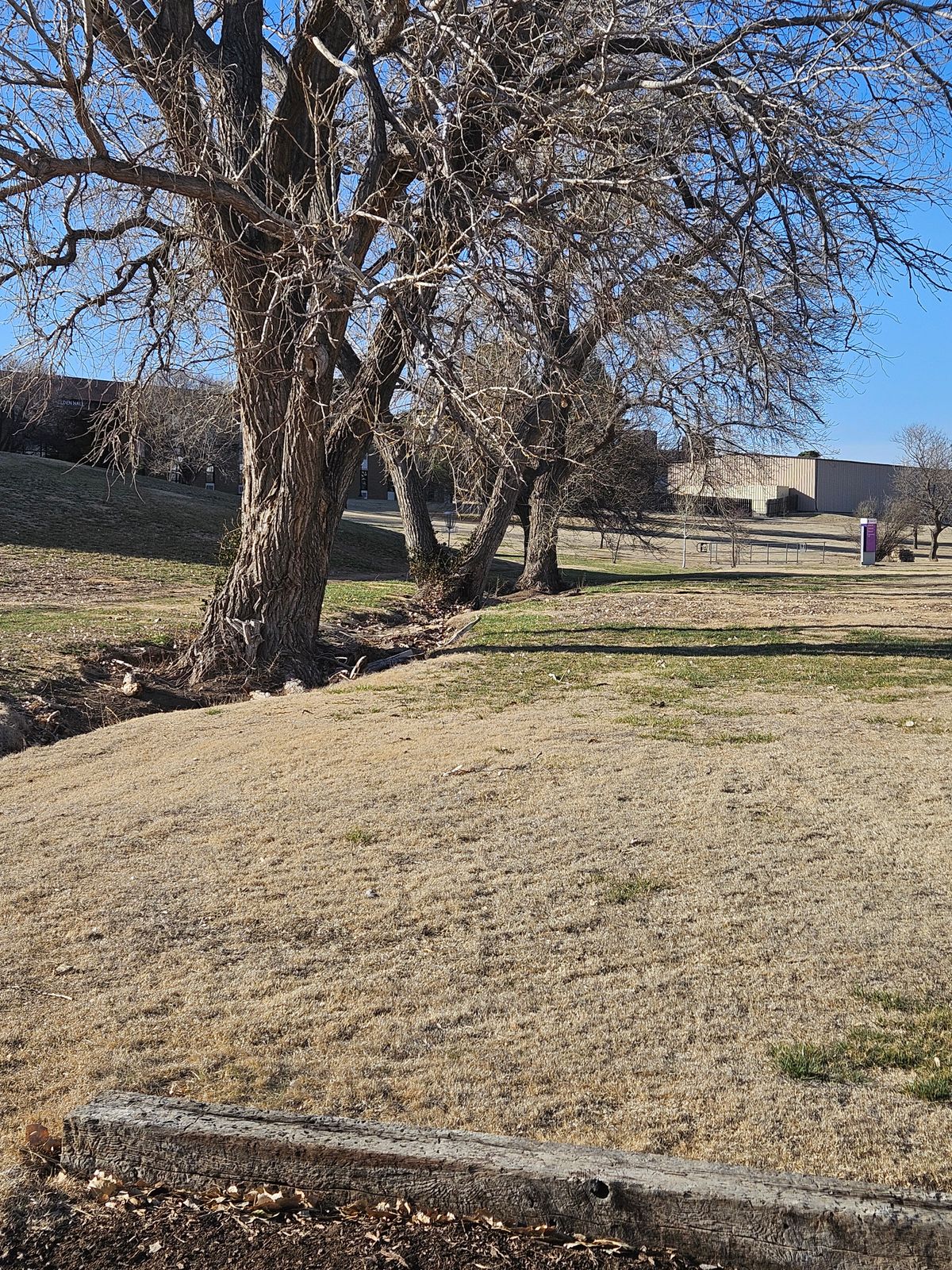 Standing on tee of #11