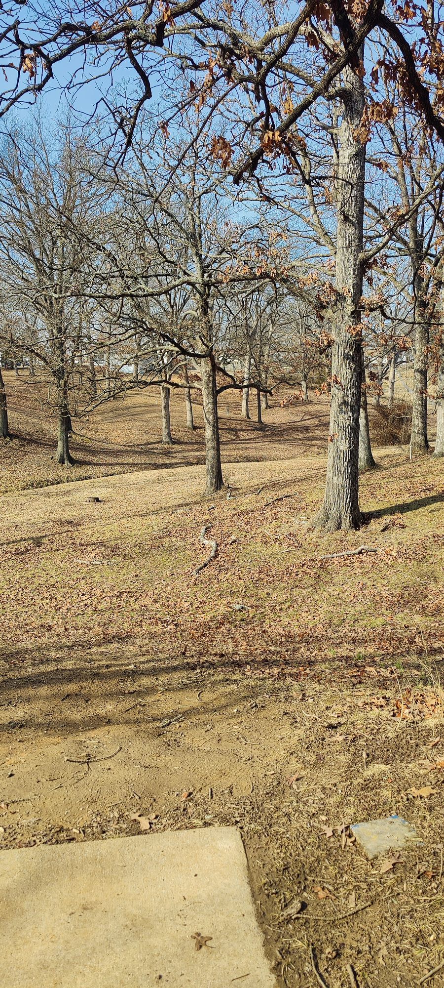 Hole 5