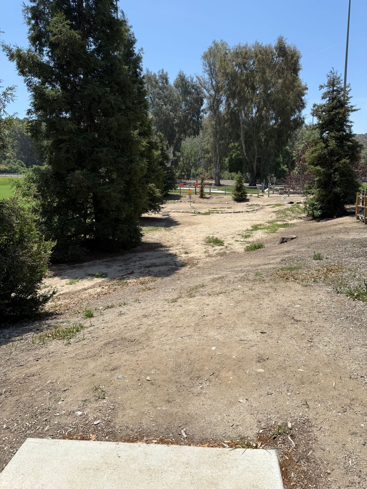 Hole 15 tee