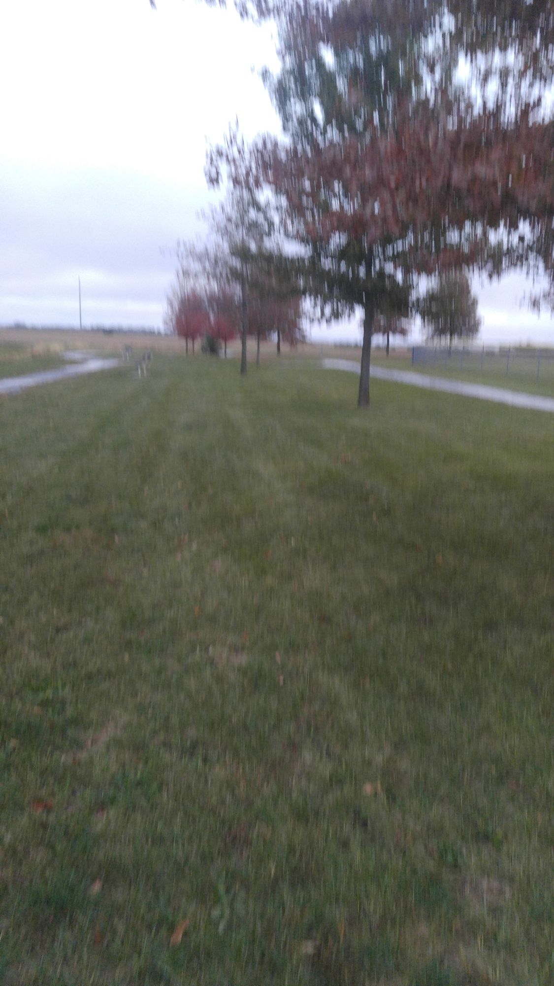 Hole 6