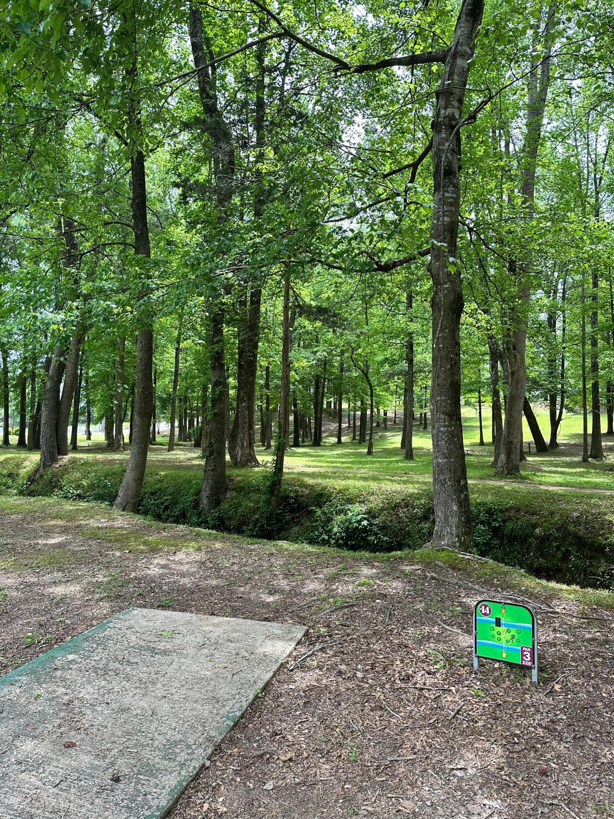 Hole 14
