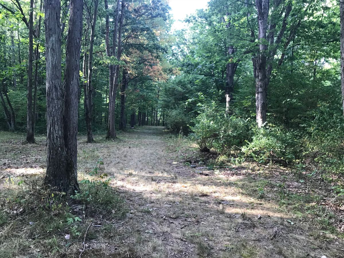 #9 fairway