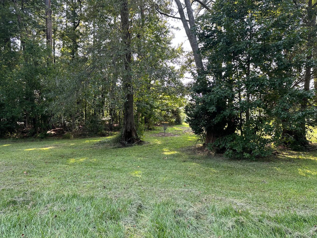 Hole 16 Approach