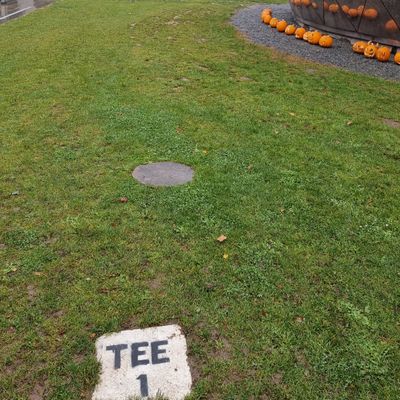 Tee 1
