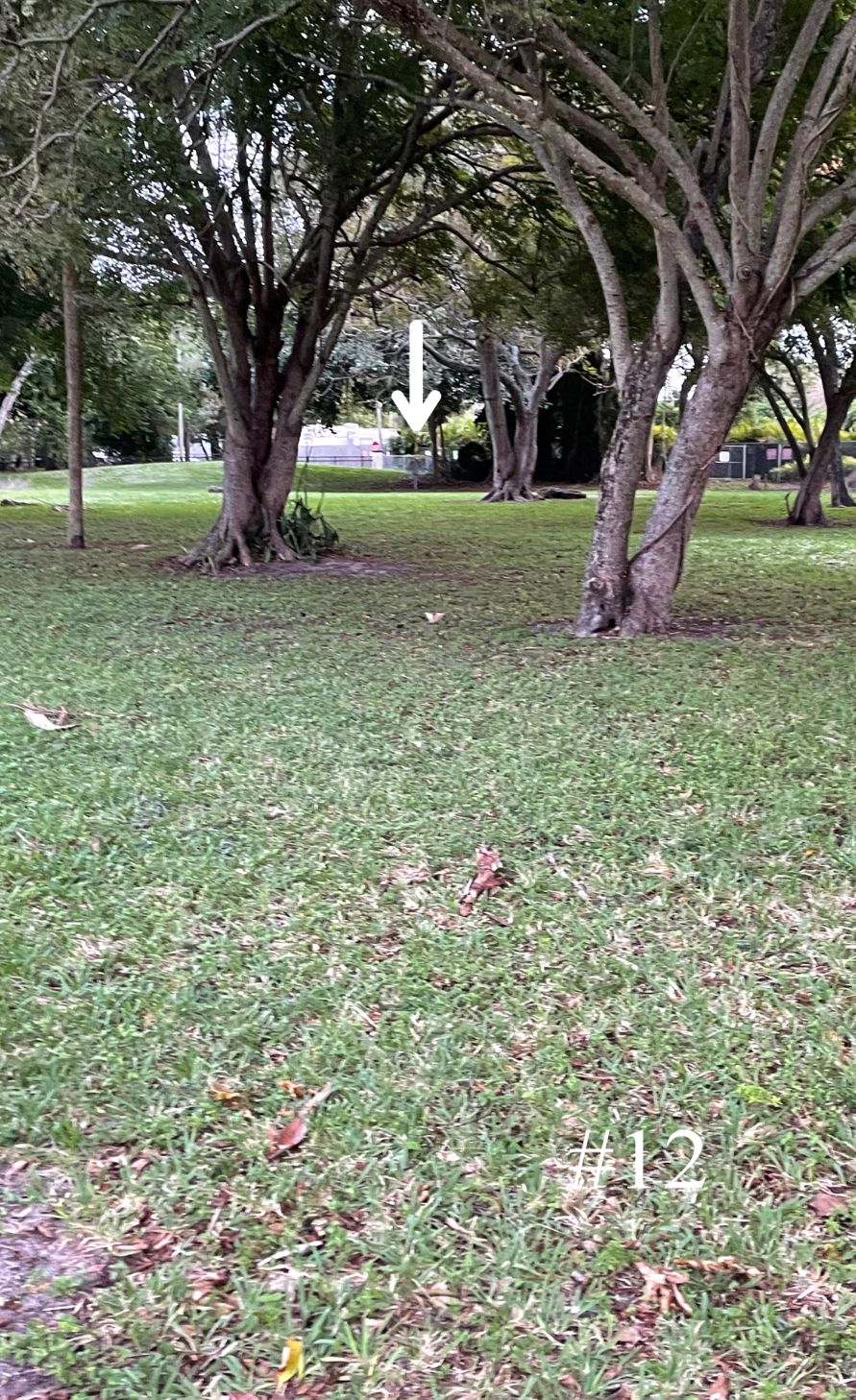 Hole 12, Short Tee