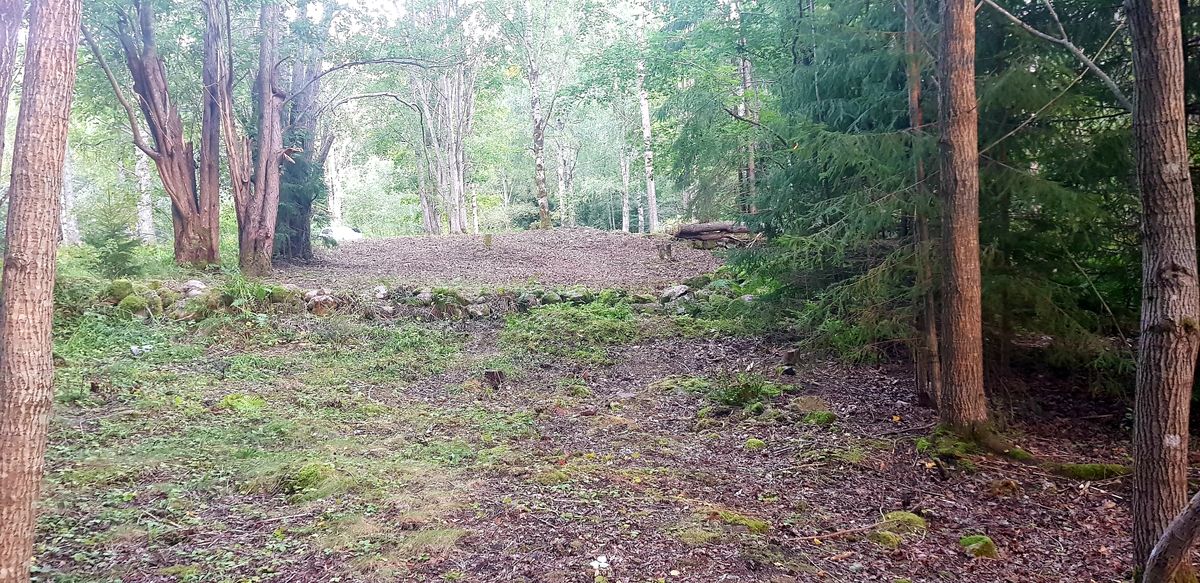Hål 11 framför tee