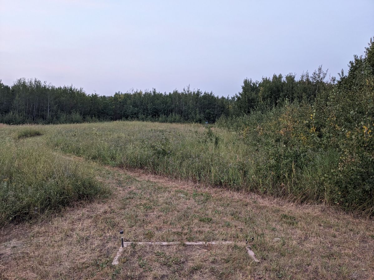 Hole 5