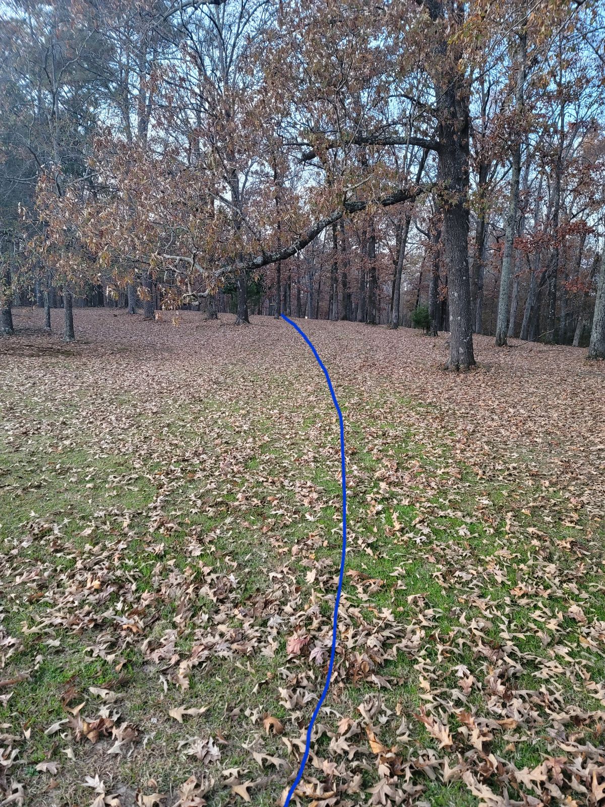 Hole 9 
Short 217