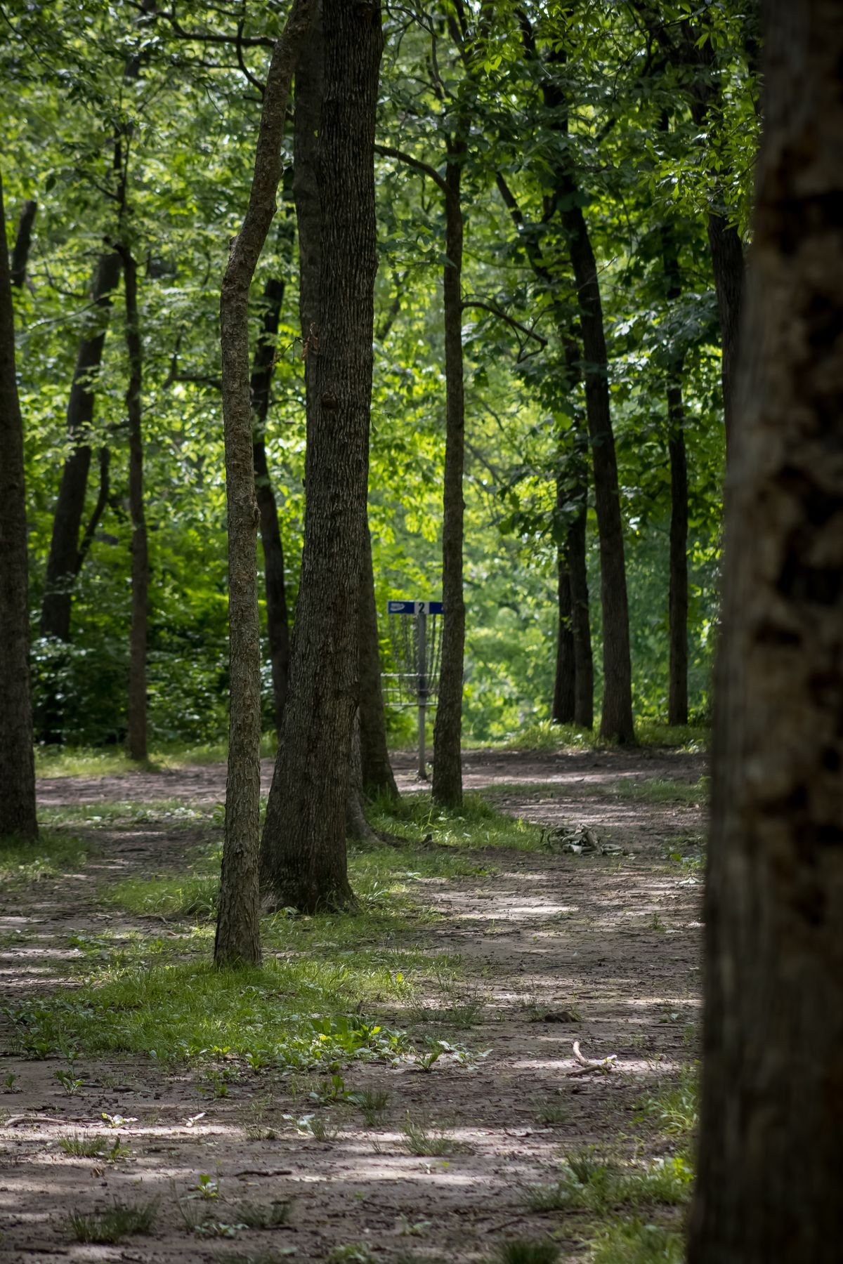Hole 2 long