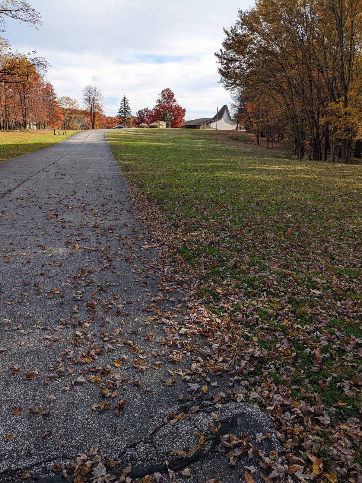 Hole 14 tee