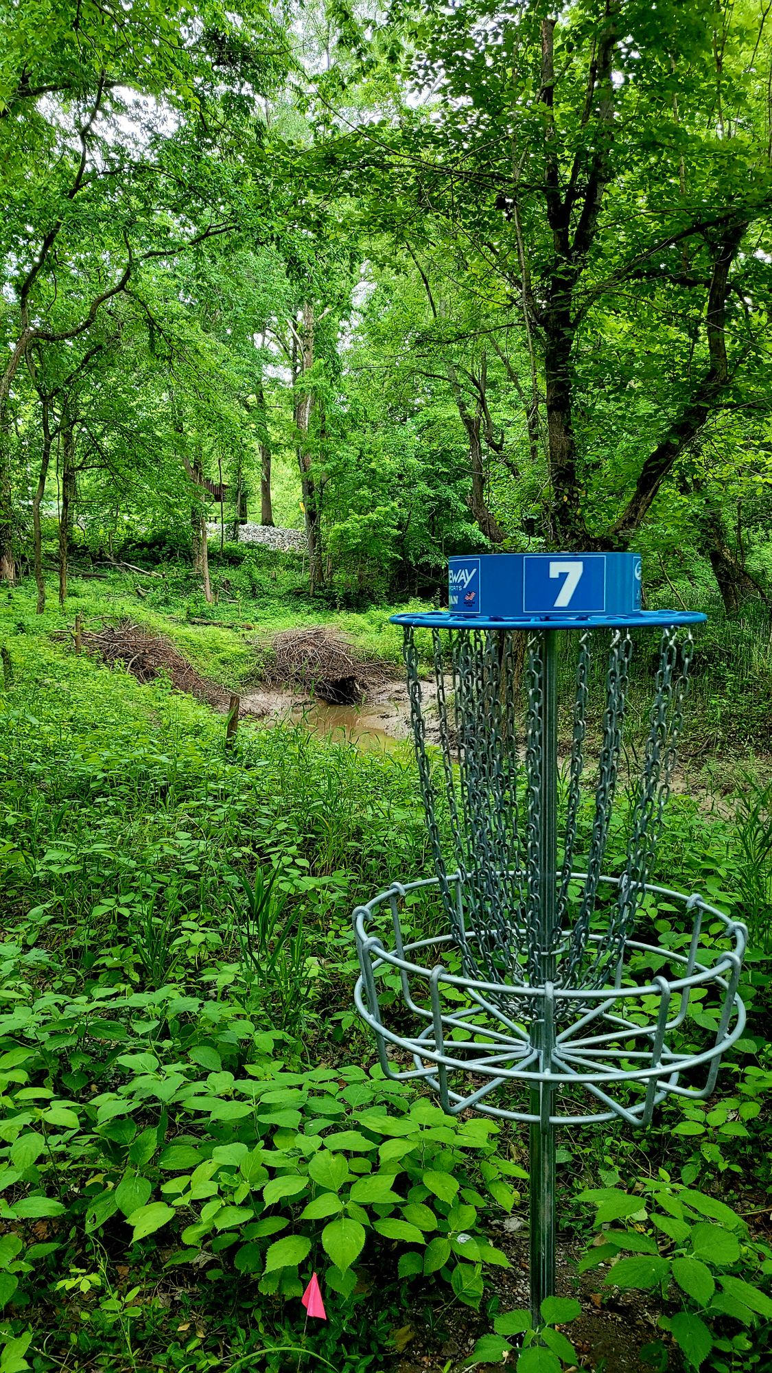Hole 7
Basket to Tee