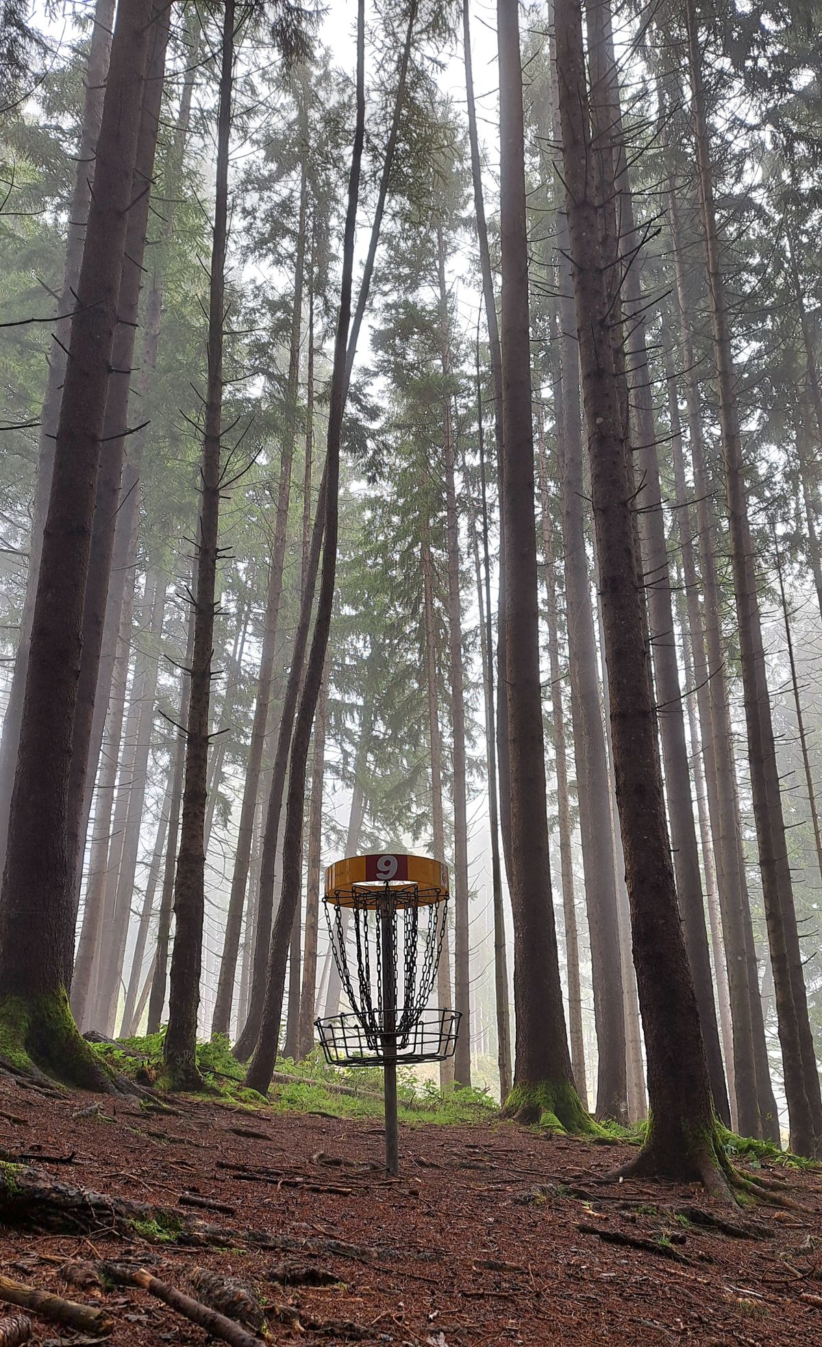 Hole 9 in mist