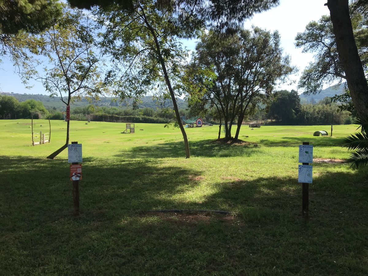 1st Tee
