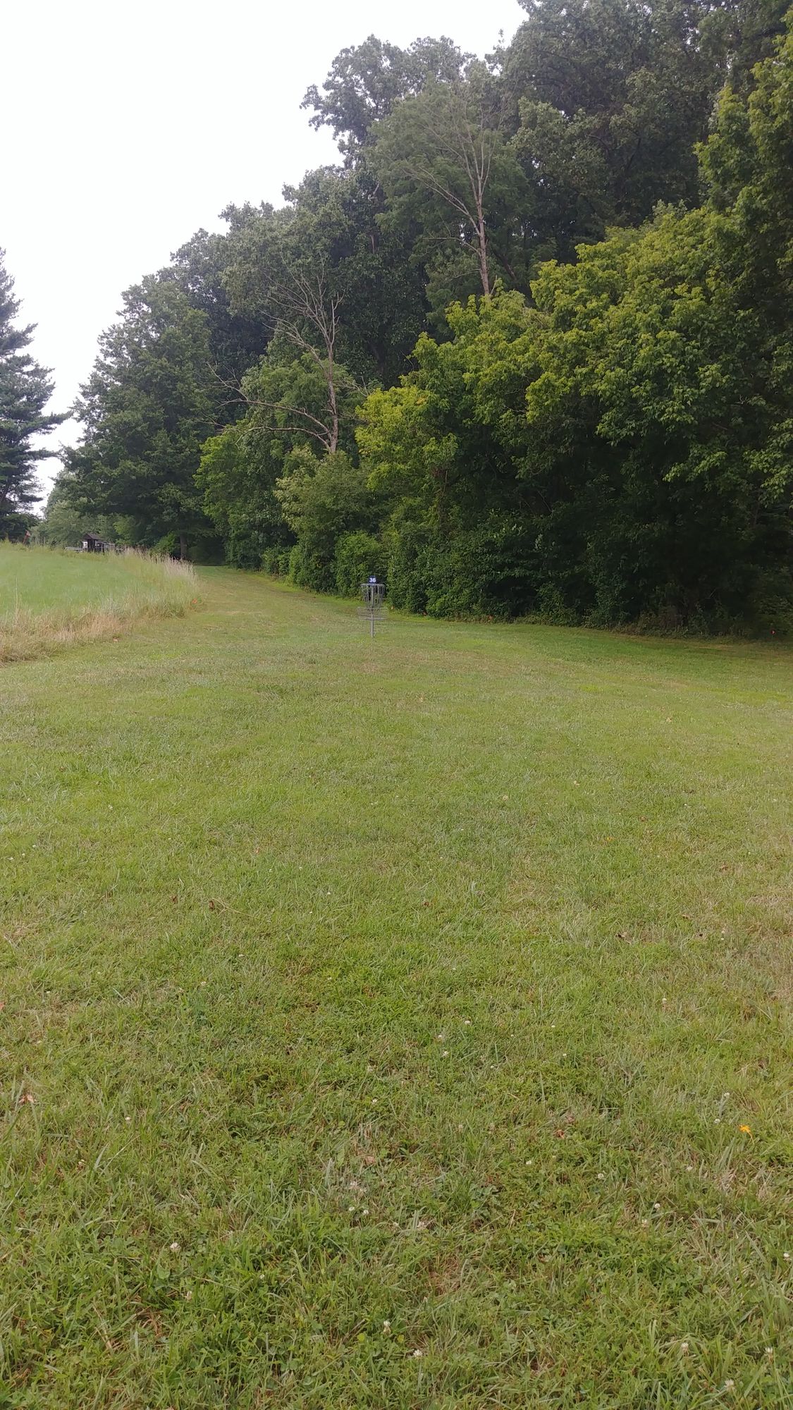 New hole 36 basket location approach