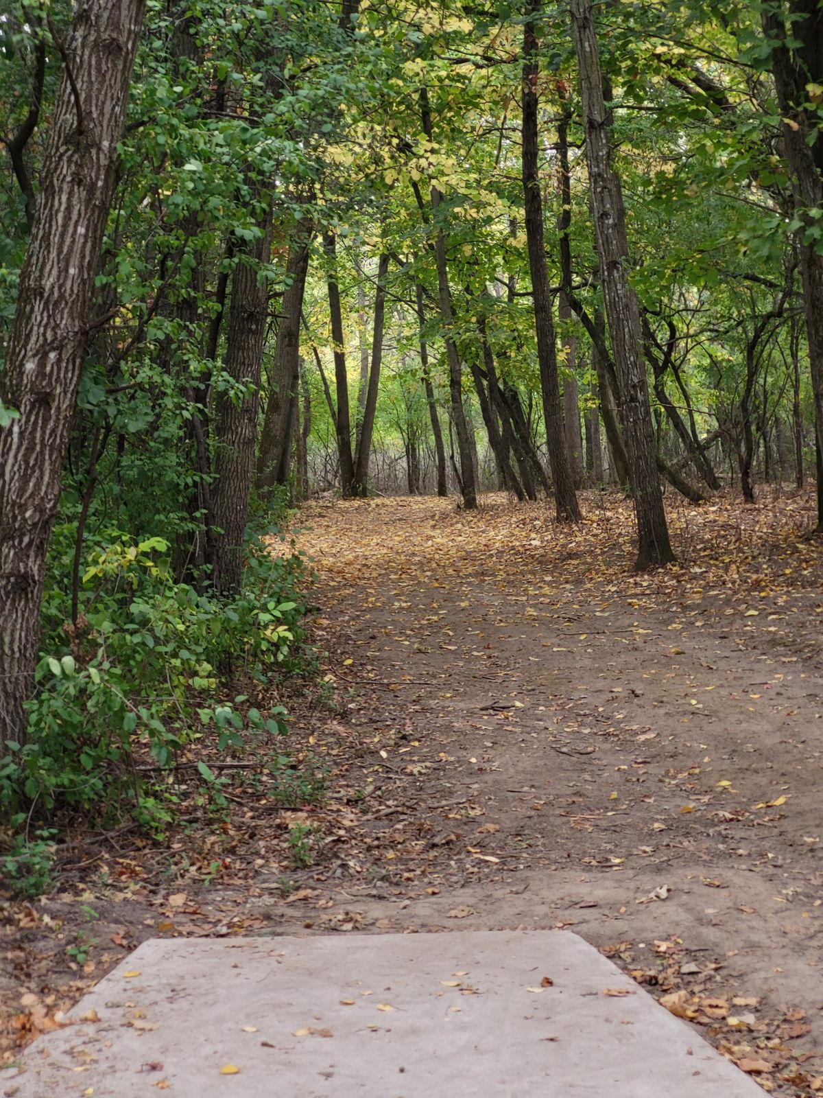 New hole 6 from tee