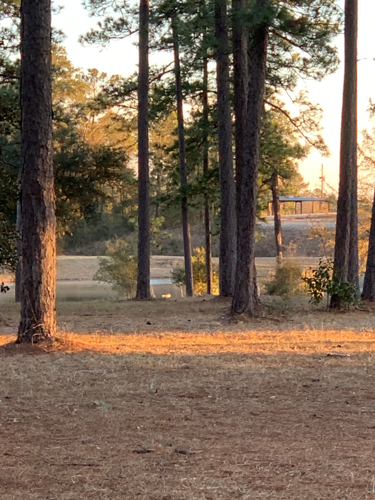 Hole 15