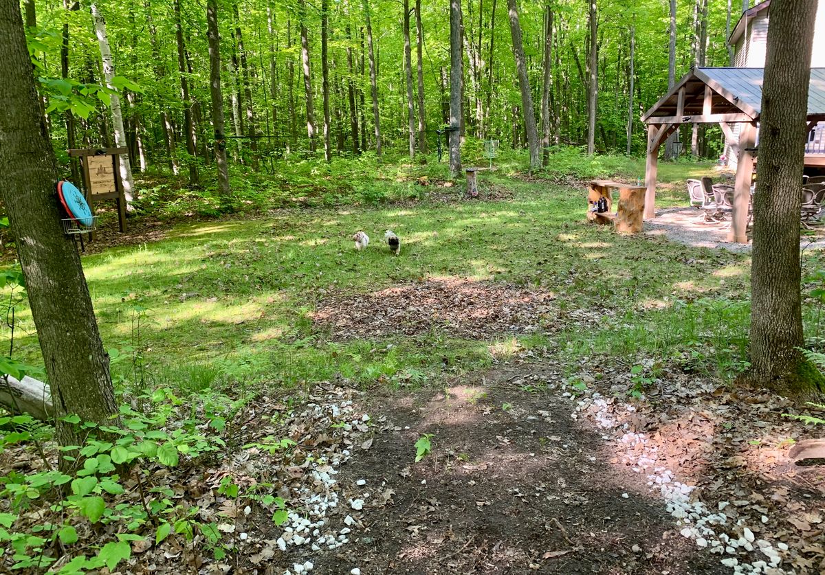 Hole 1