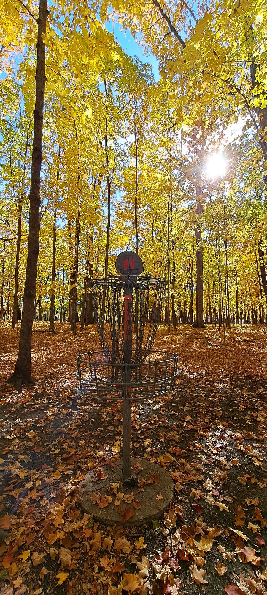 Hole 11 pin.