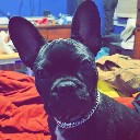 User avatar image