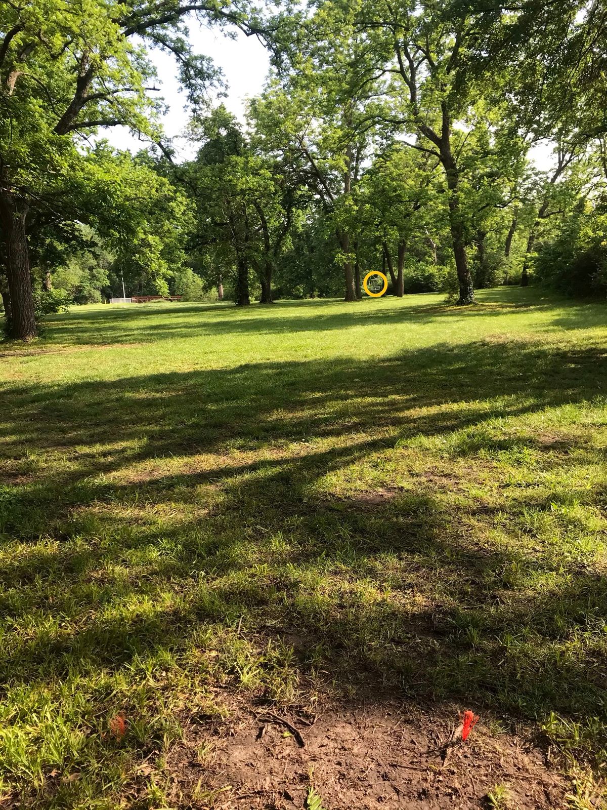 Hole 3 Tee