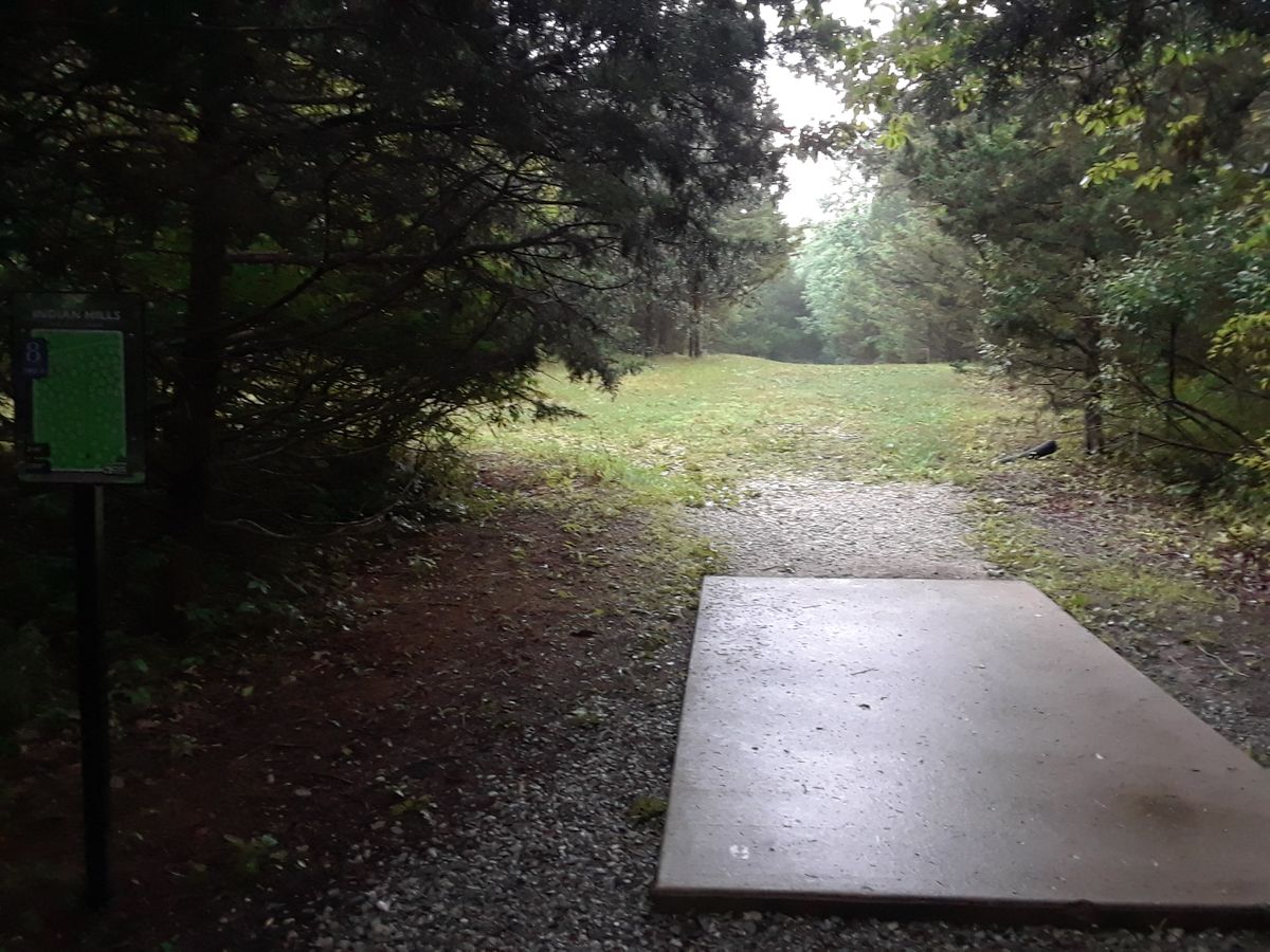 Hole 8