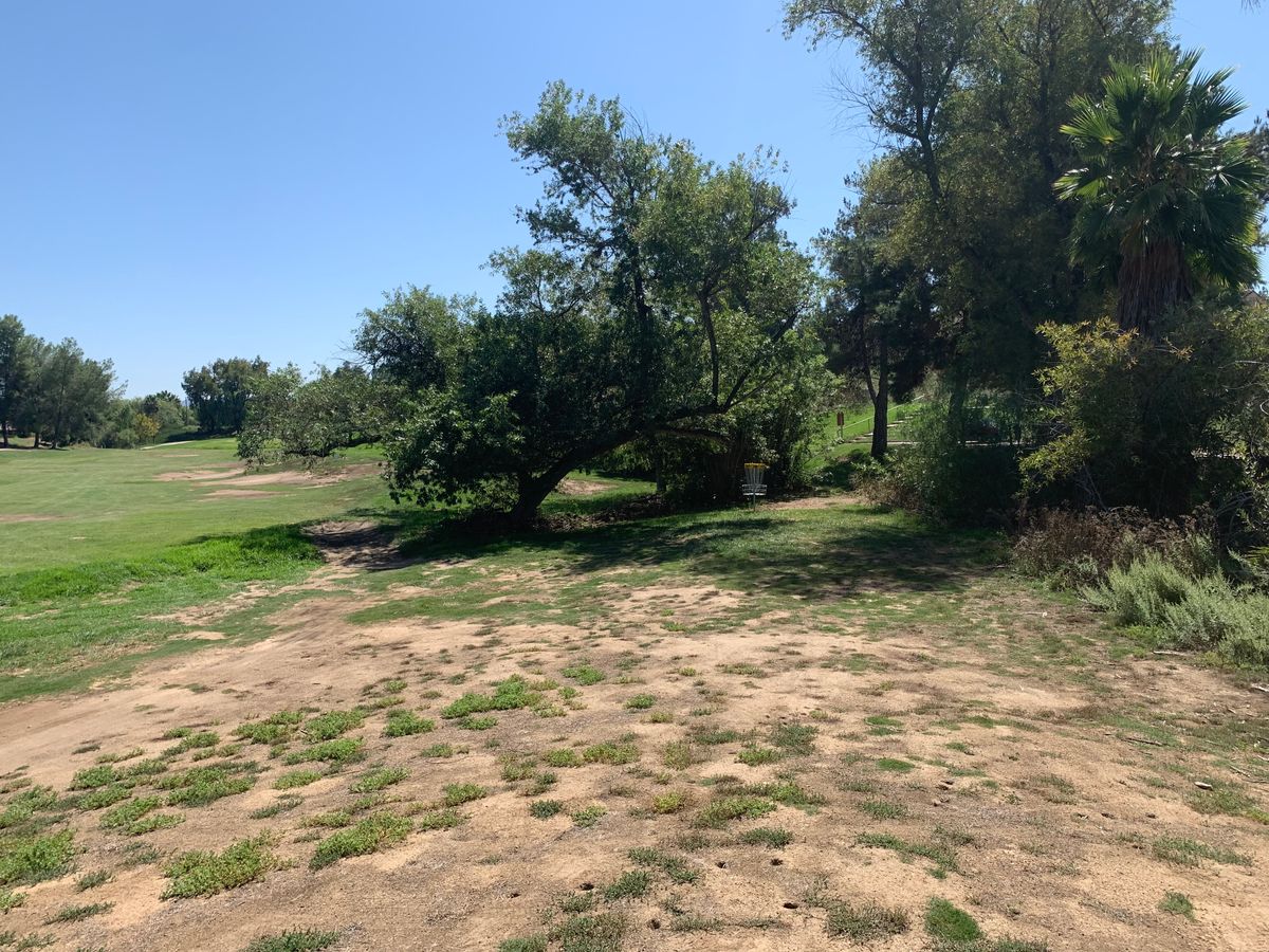 Omega Hole 16