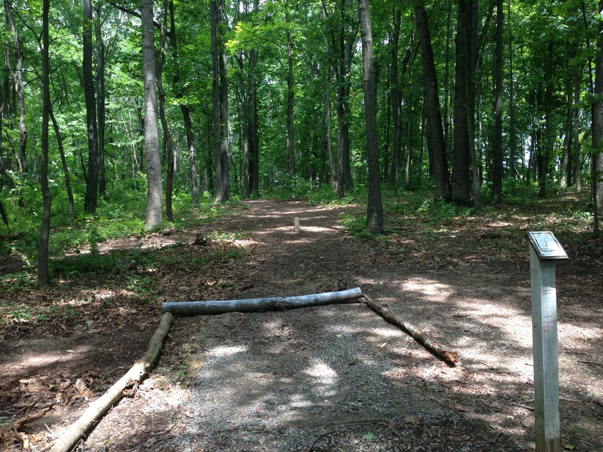 Hole 17