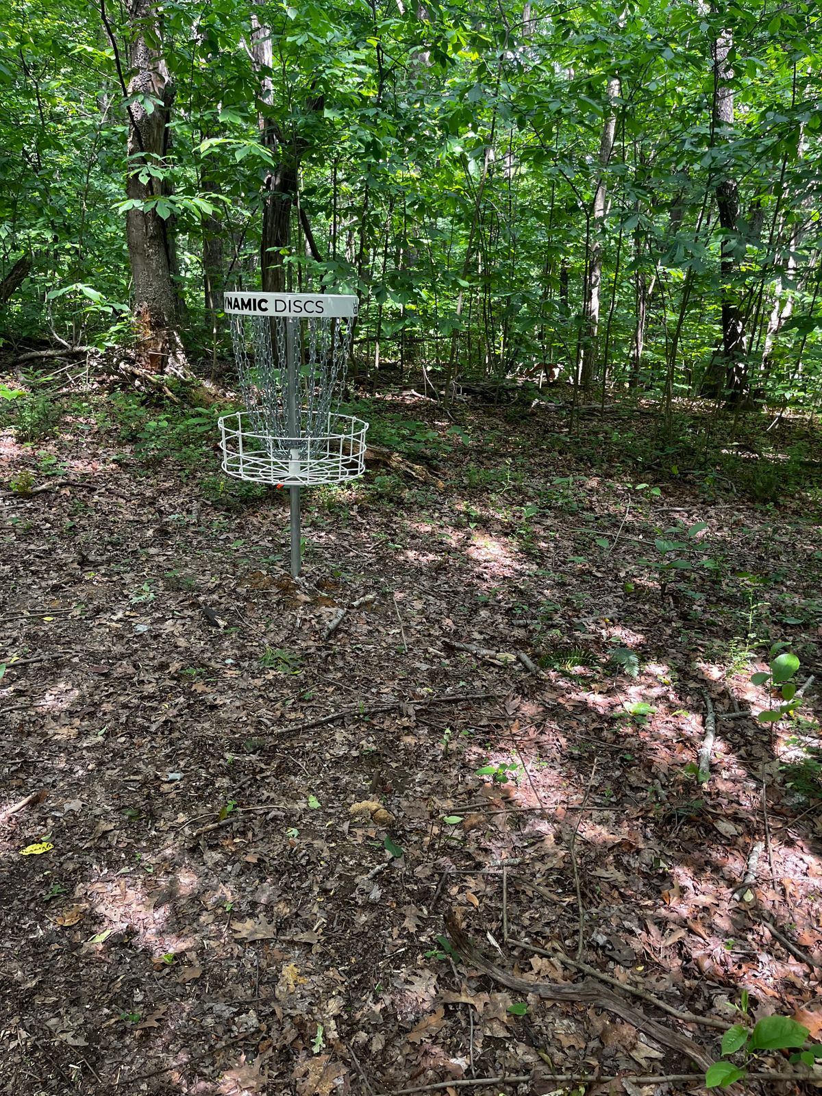 Hole 14 green