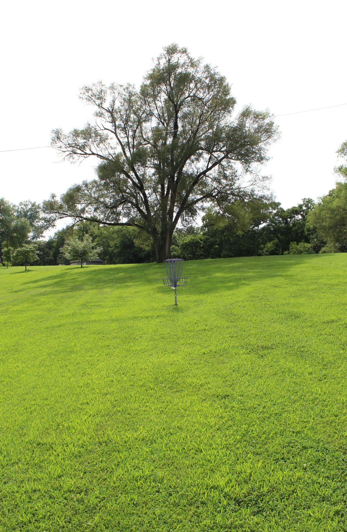 Hole 16 (Circle 1)