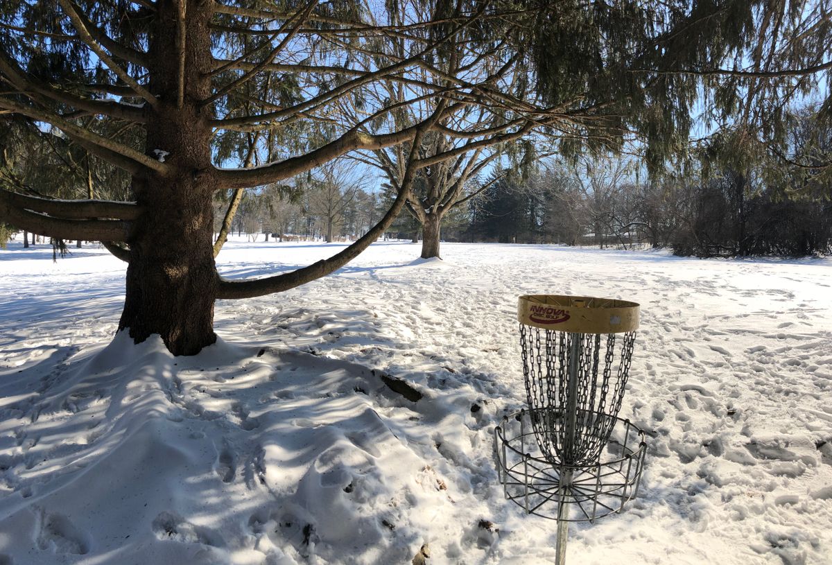Snowy #11