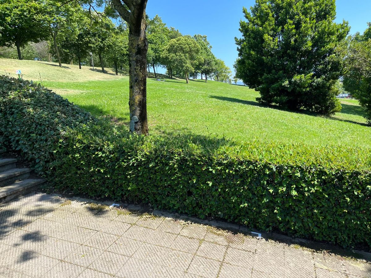 15B