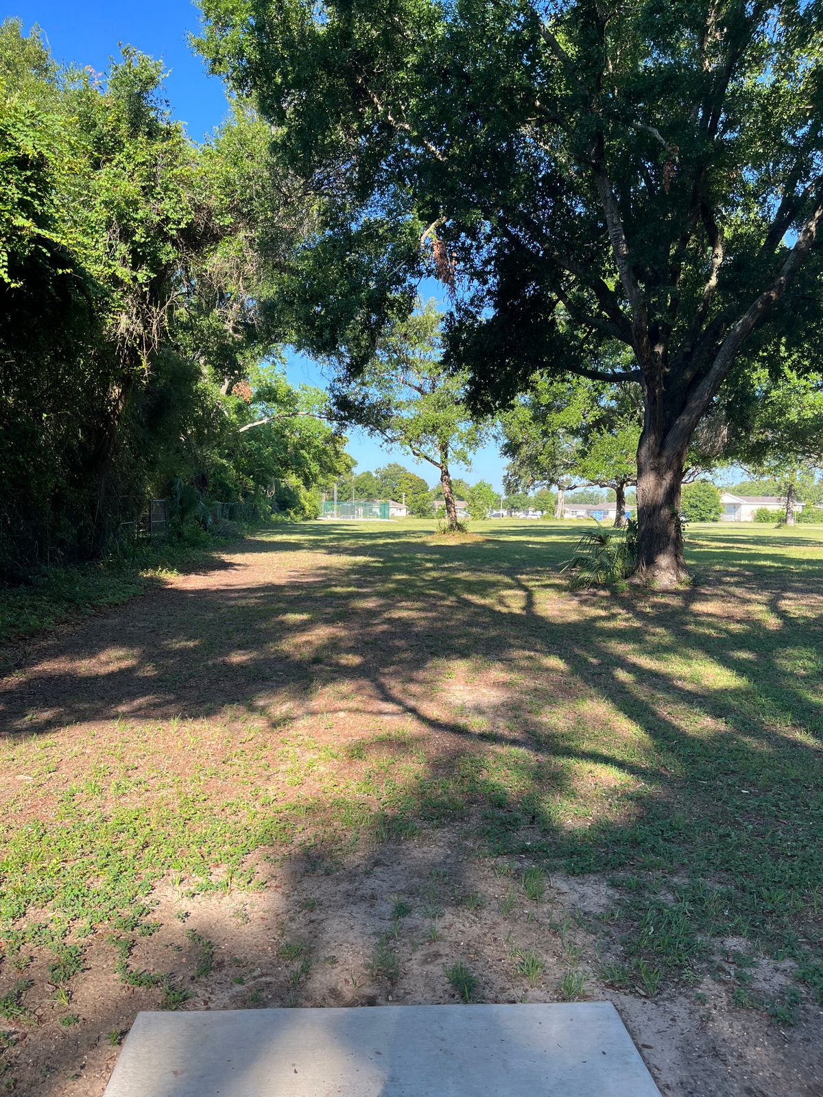 Hole 13 Tee
