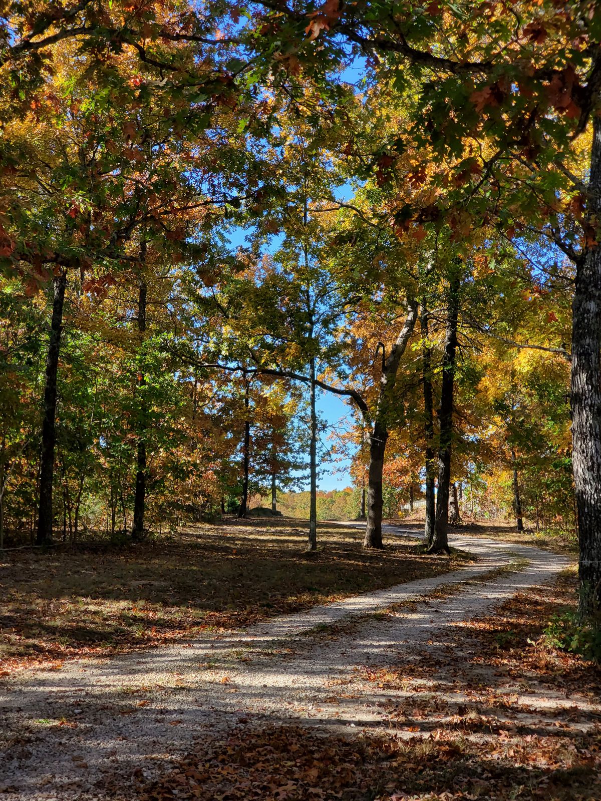 Hole 9 view from Advanced Tee