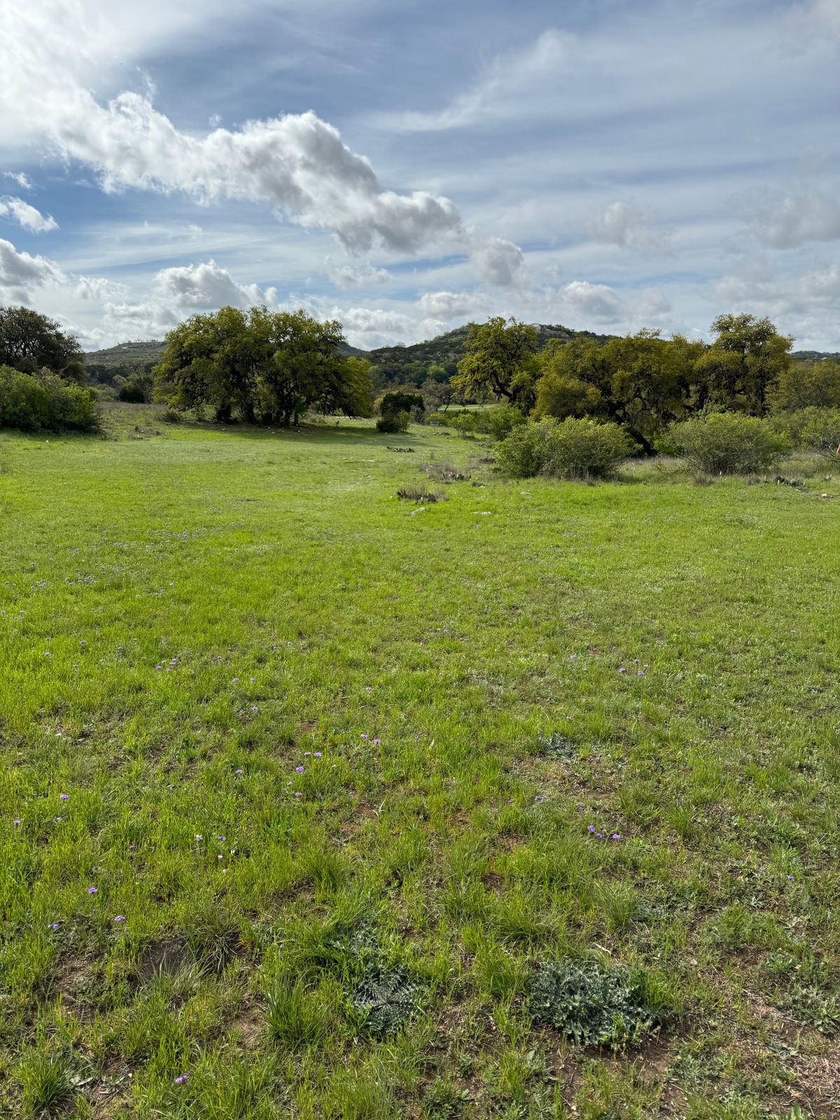 Fairway after turn.
