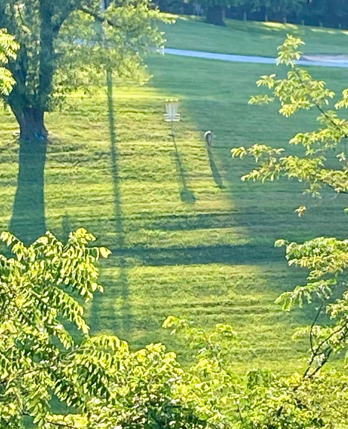 Obstructed hole 5