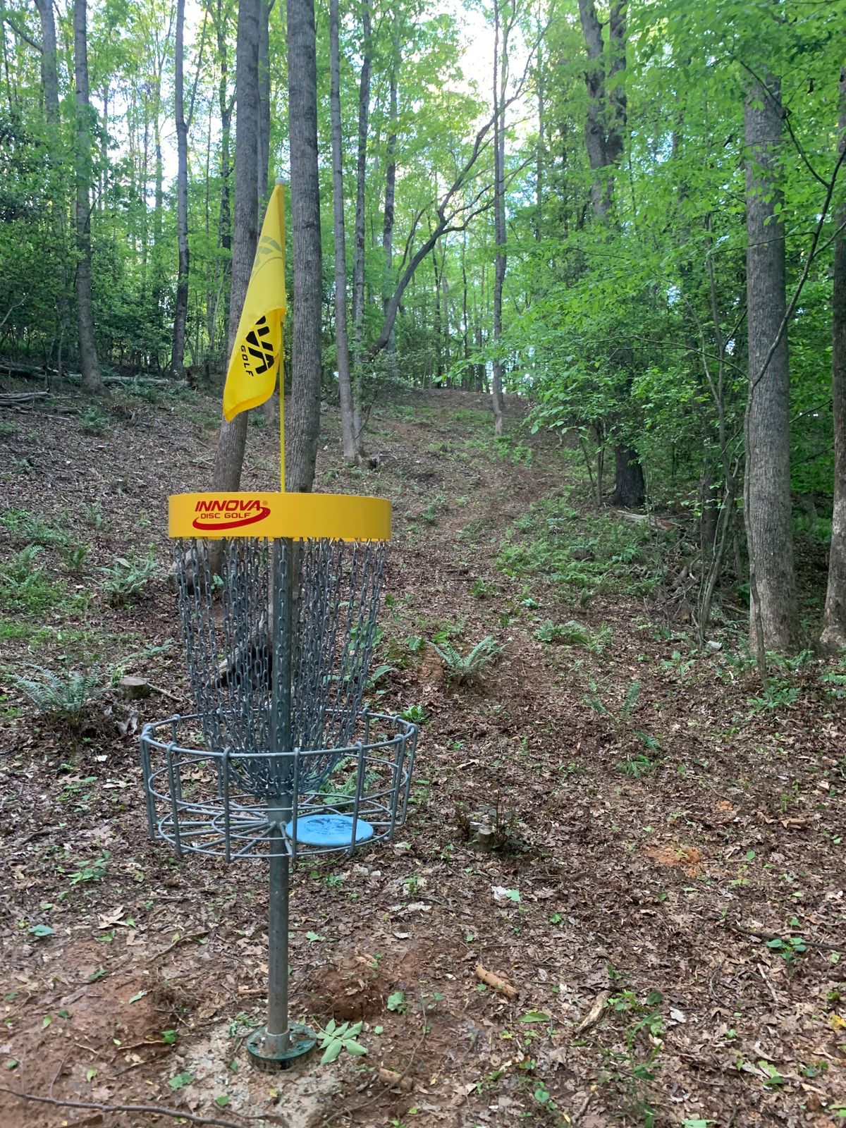 Basket Hole #6