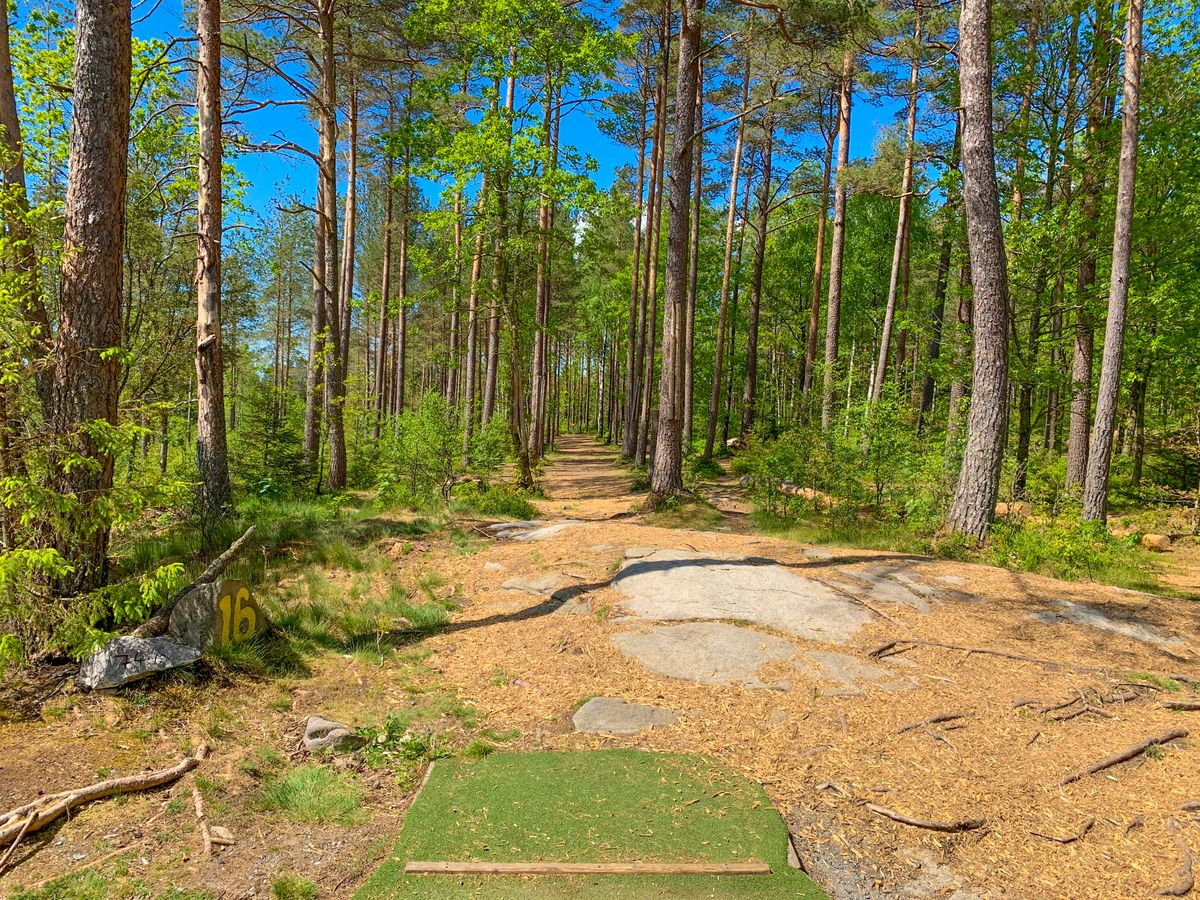 Yellow 16, the most narrow hole on the course.