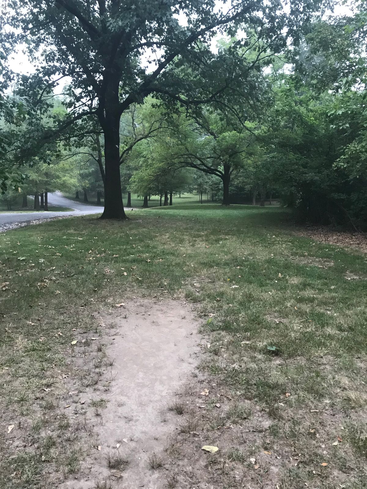 Hole 12 “tee””