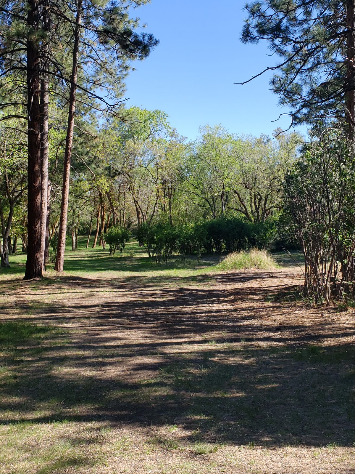 Hole 4