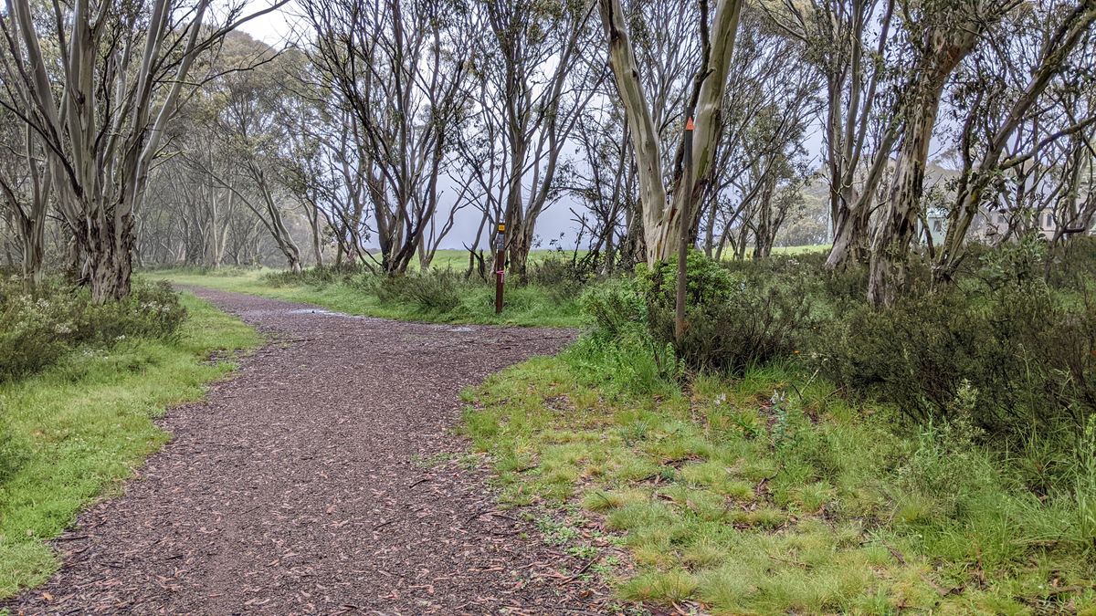 7th hole showing mando trail pole on right side of trail (pole has orange arrow at top)