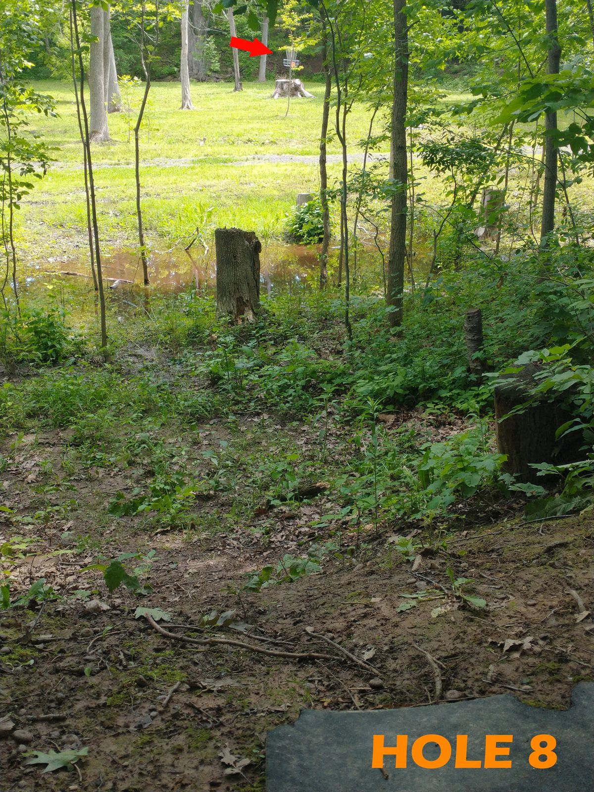 Tee is around log pile and up hill, near 9's basket. Throwing downhill to basket on tree stump.