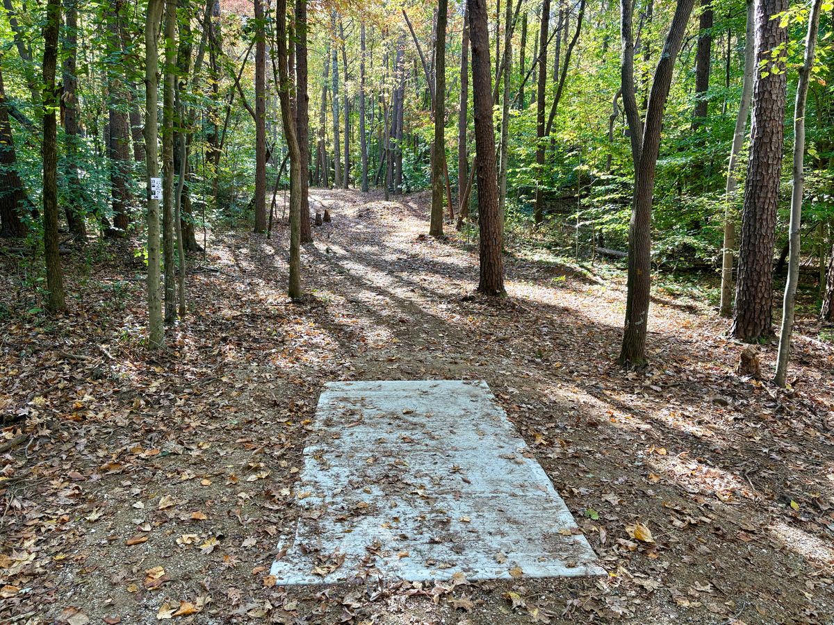 Hole 13 tee