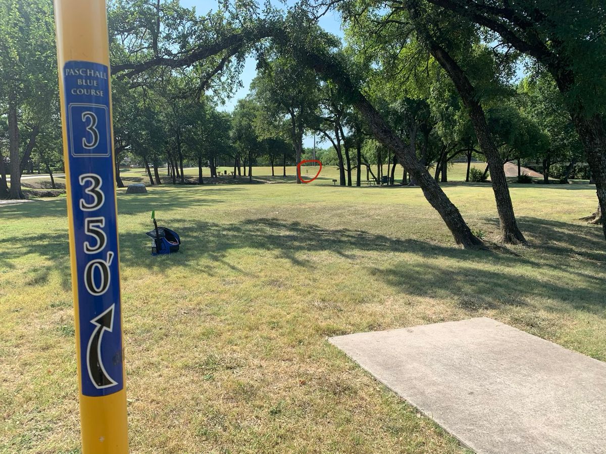 Hole 3. 350 feet. Blue Tee.